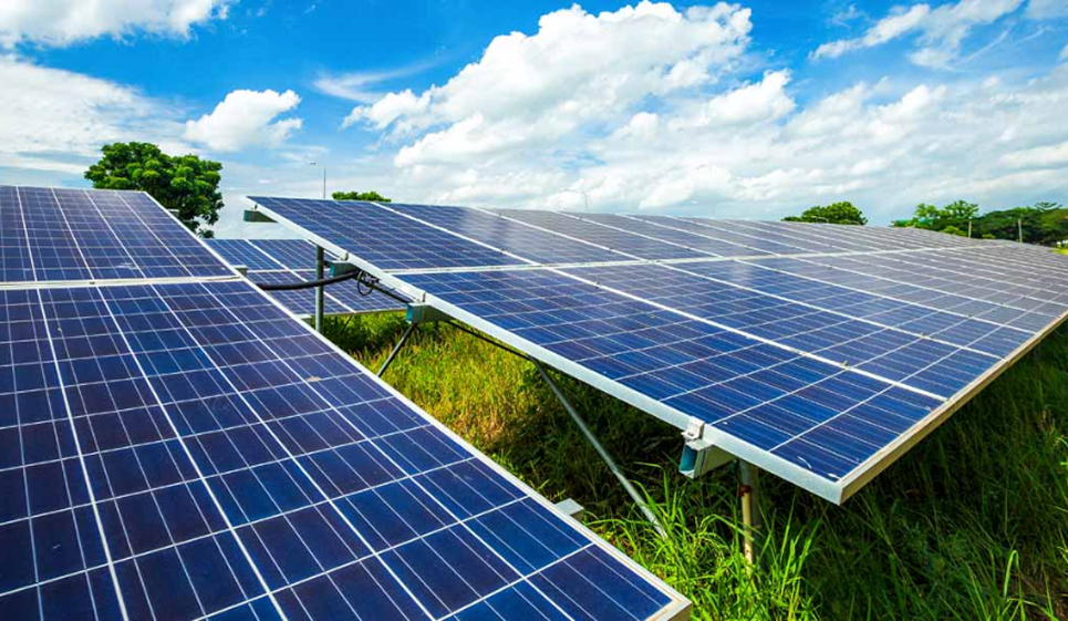 Sürdürülebilirlik & Temiz Enerji Yatırımları
